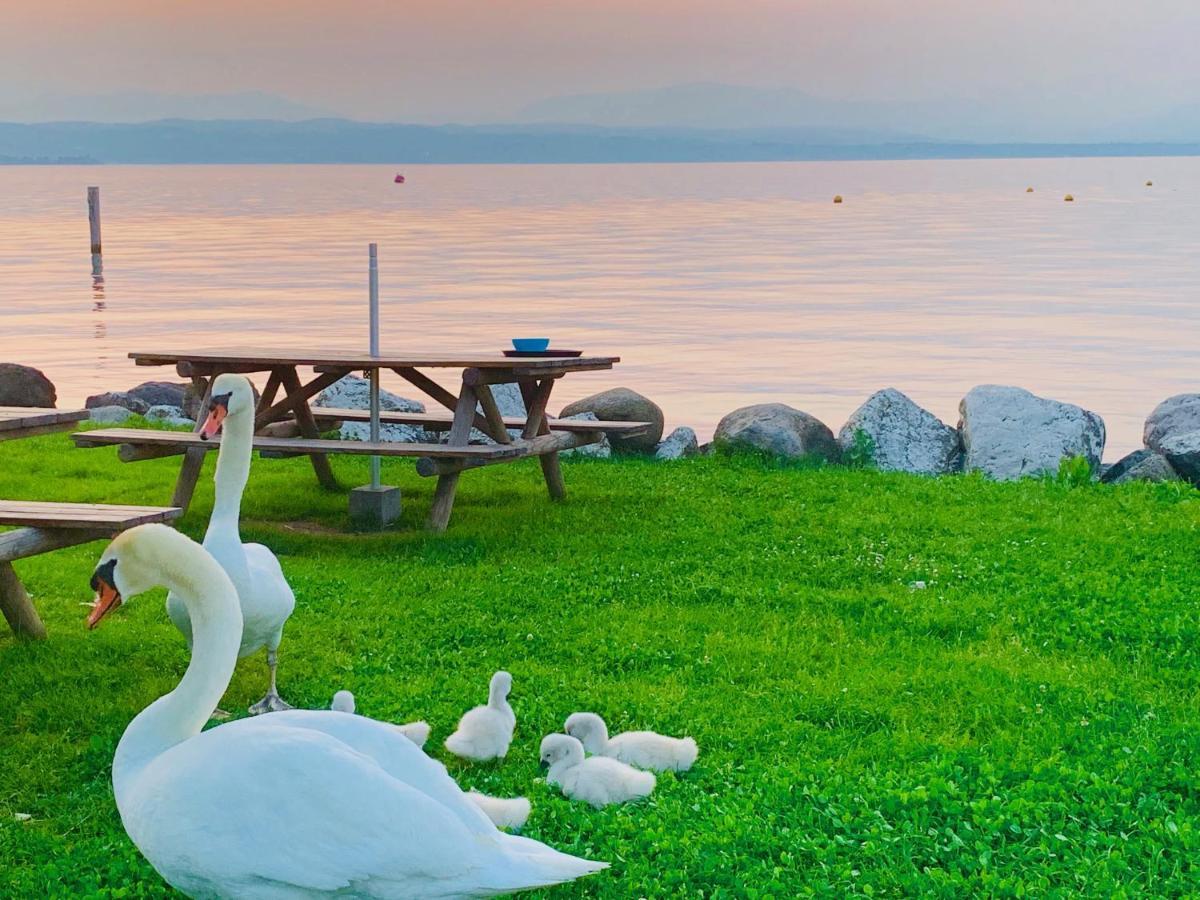 Aquila D'oro Desenzano Desenzano del Garda